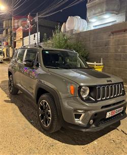 جيب رينيجيد